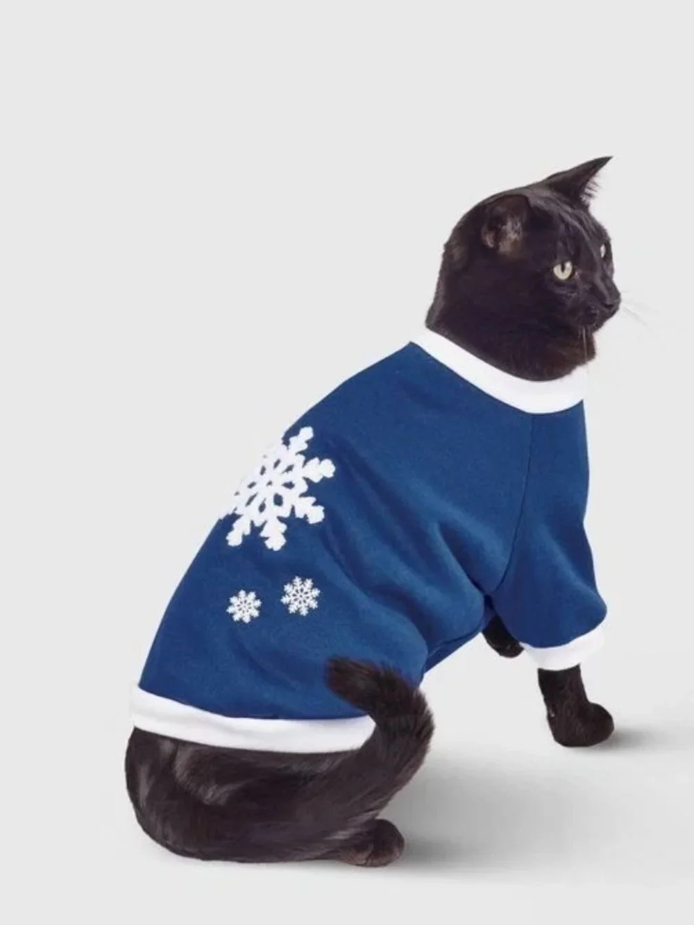 Gingerbread Playhouse Blue Snowflake Dog Sweatshirt - Wondershop Medium